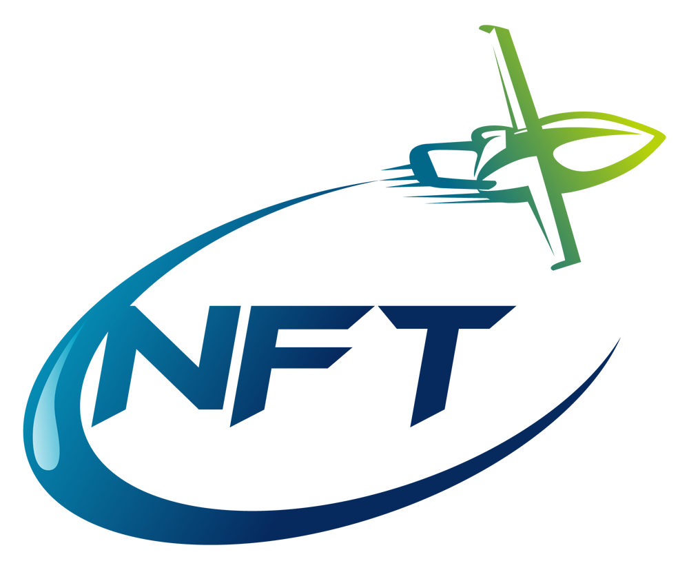 NFT logo