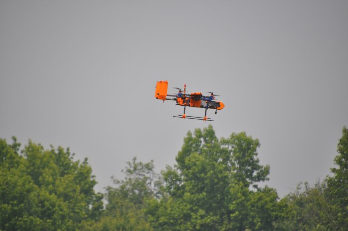 3rd DBVF Winner June 2023