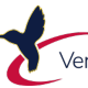 VFS logo icon only no words, large (transparent)